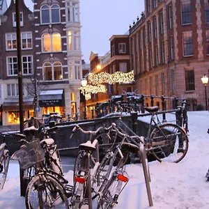 https://borgmann-villa-hotel.amsterdamhotelsnl.com
